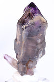 4" Shangaan Amethyst Scepter with Moving Enhydro TU133