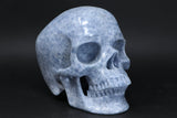 Life Size Realistic Blue Calcite Skull TU1510