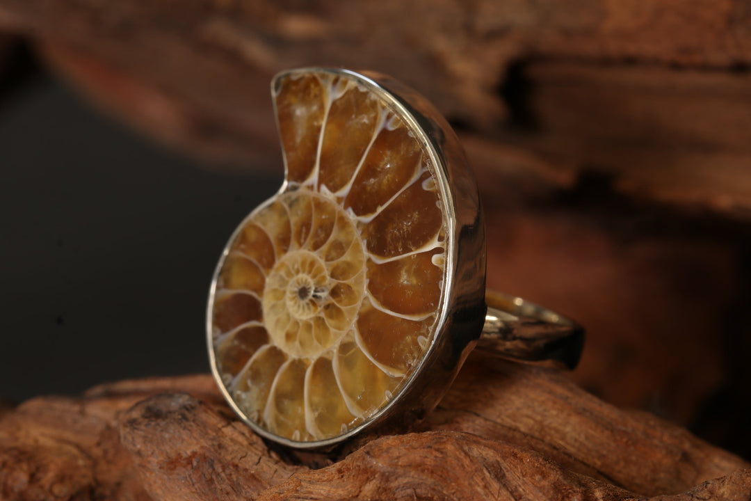 Ammonite Ring Size 5 DS1944