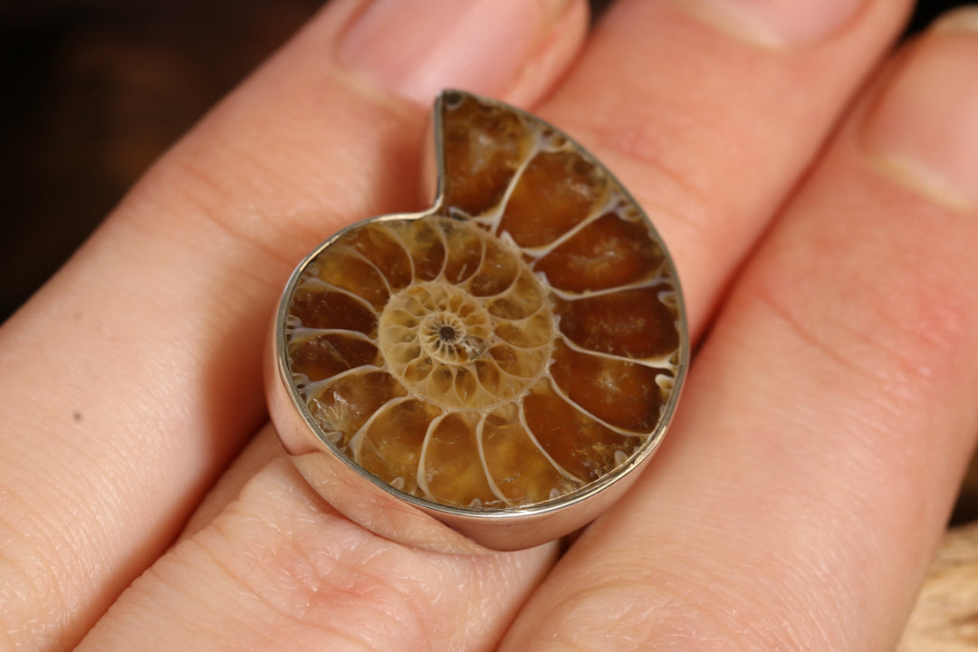 Ammonite Ring Size 5 DS1944