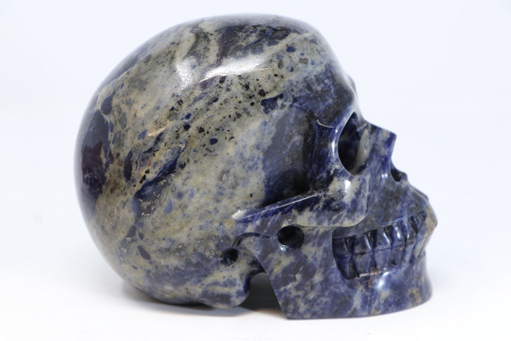 Sodalite Skull Carving TU2210