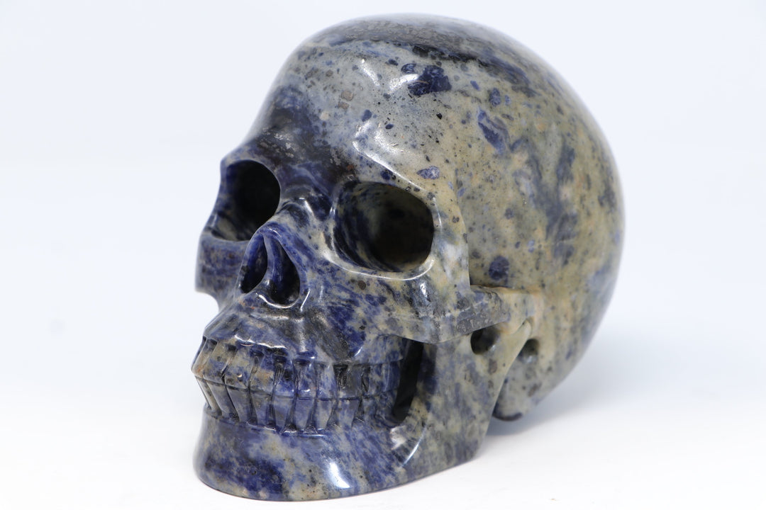 Sodalite Skull Carving TU2210