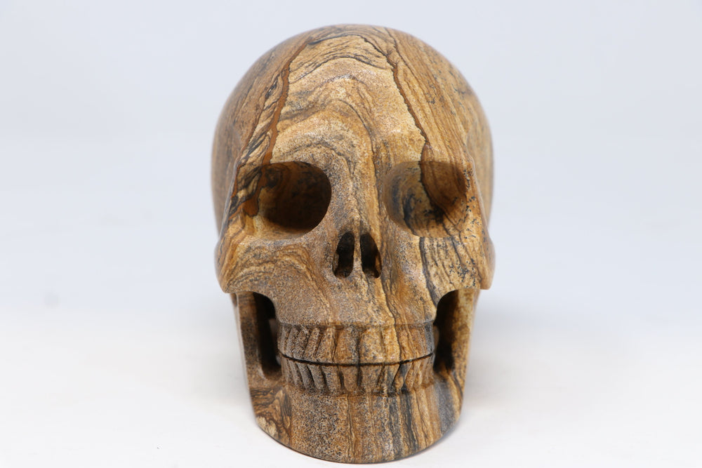 5" Dendritic Siltstone Crystal Skull TU2614