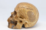 5" Dendritic Siltstone Crystal Skull TU2614