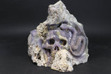 Grape Agate Skull and Snake Carving TU2620