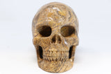 5" Dendritic Siltstone Crystal Skull TU2846