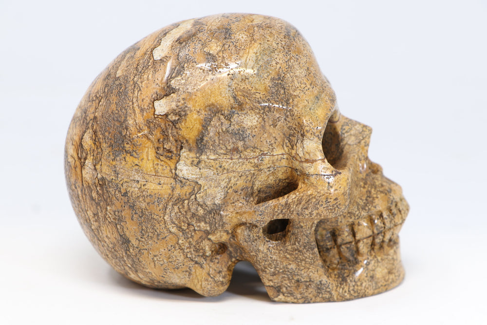 5" Dendritic Siltstone Crystal Skull TU2846