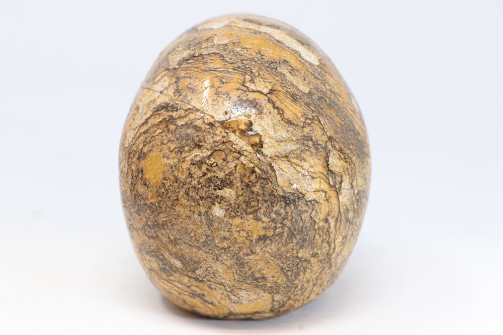 5" Dendritic Siltstone Crystal Skull TU2846
