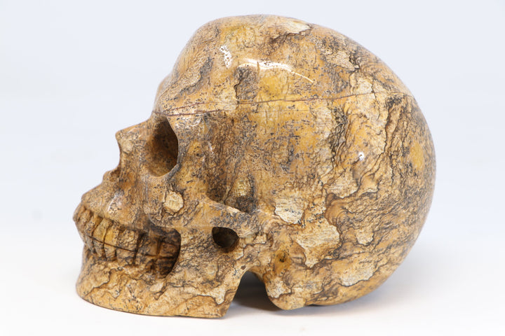 5" Dendritic Siltstone Crystal Skull TU2846