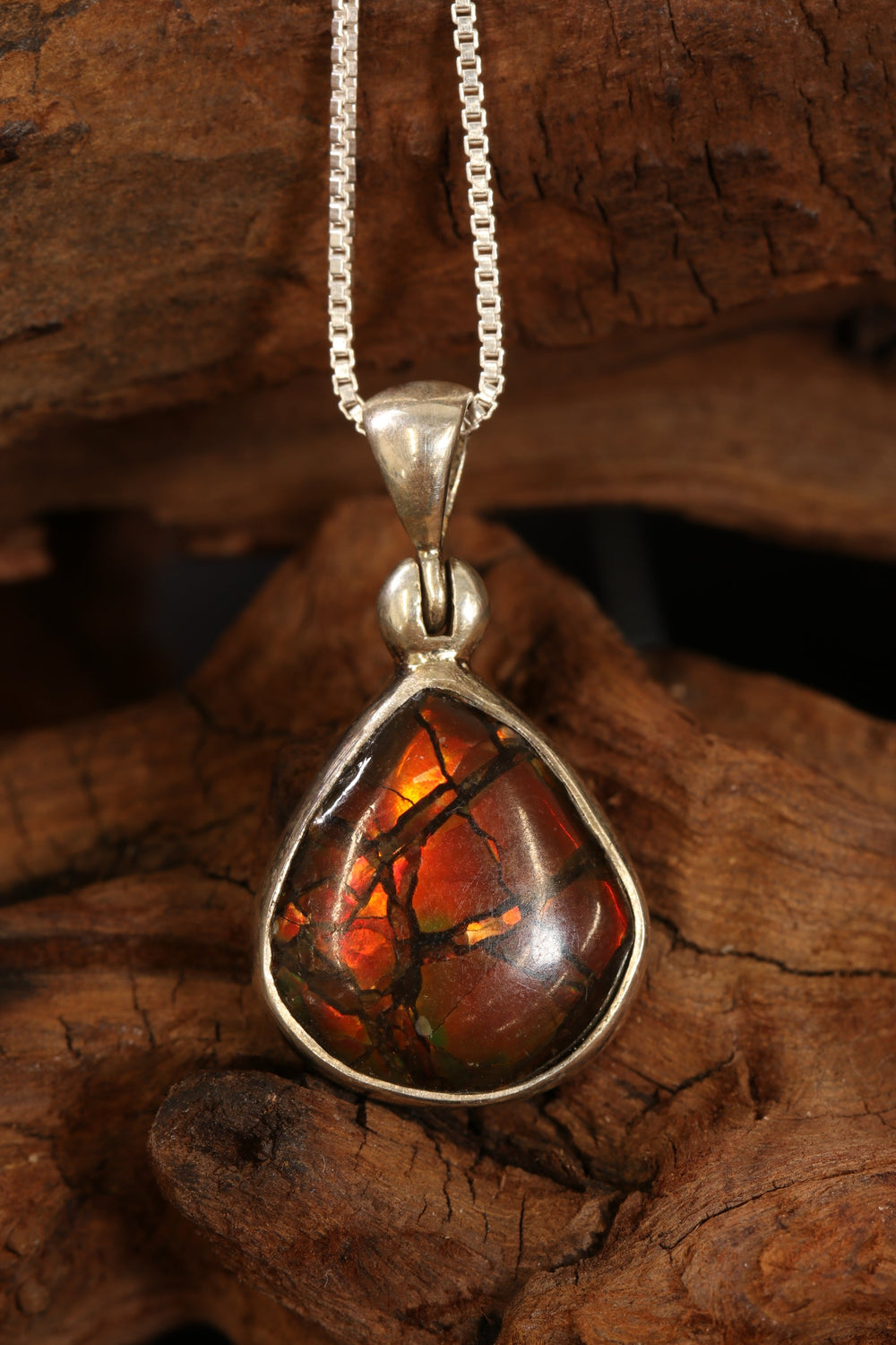 Ammolite Pendant TU2883