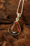 Ammolite Pendant TU2883