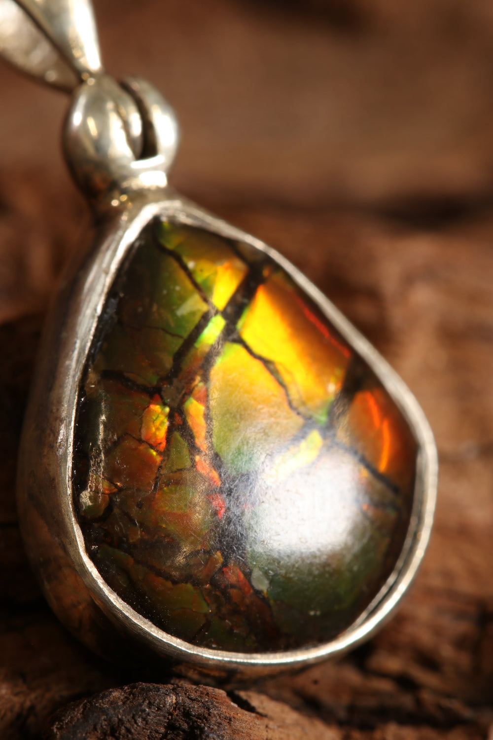 Ammolite Pendant TU2883