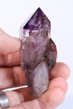 3" Shangaan Amethyst Scepter with 2 Enhydros TU2910