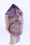 3" Shangaan Amethyst Scepter with 2 Enhydros TU2910