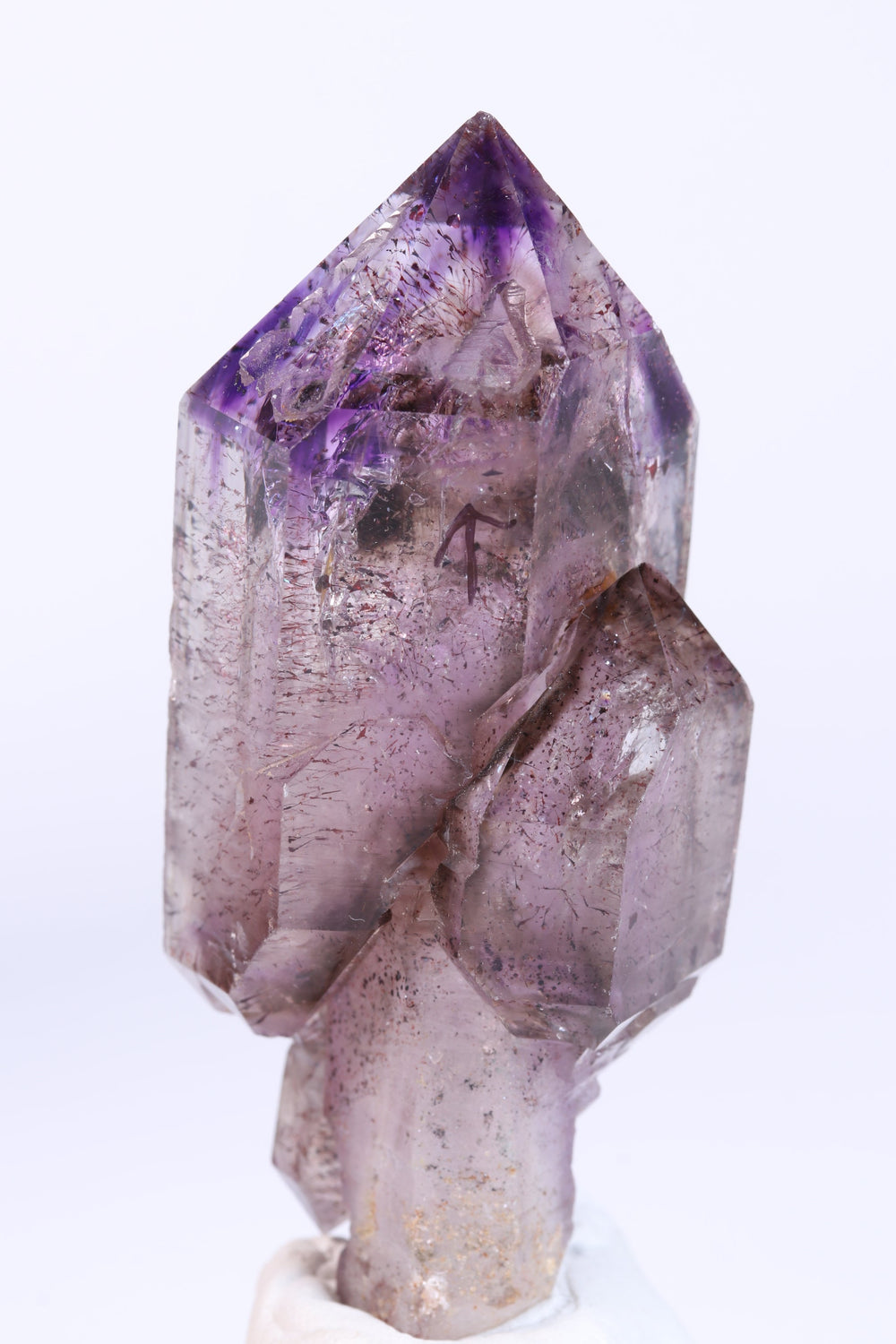 3" Shangaan Amethyst Scepter with 2 Enhydros TU2910
