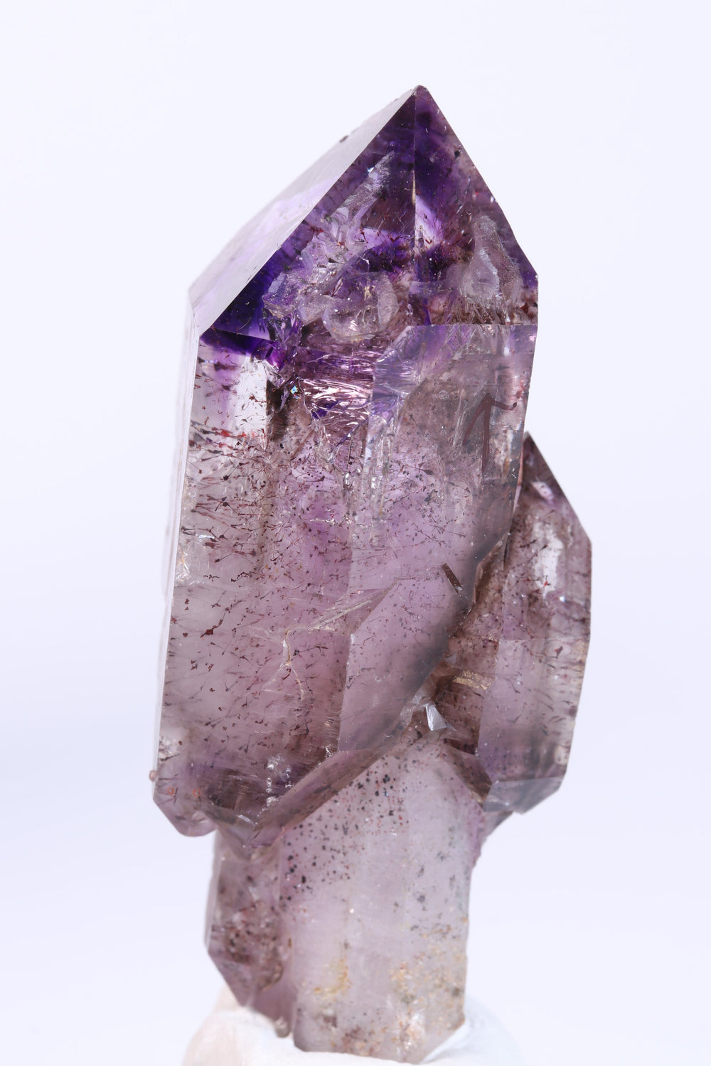 3" Shangaan Amethyst Scepter with 2 Enhydros TU2910