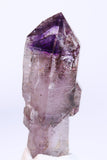 3" Shangaan Amethyst Scepter with 2 Enhydros TU2910