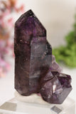Shangaan Amethyst Sceptor TU2958