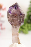 Shangaan Amethyst Sceptor with Moving Enhydro TU2959