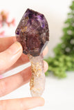 Shangaan Amethyst Sceptor with Moving Enhydro TU2959