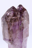 2.75" Shangaan Amethyst Scepter with 2 Enhydros TU2960