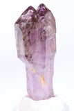 2.75" Shangaan Amethyst Scepter with 2 Enhydros TU2960