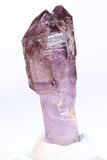2.75" Shangaan Amethyst Scepter with 2 Enhydros TU2960