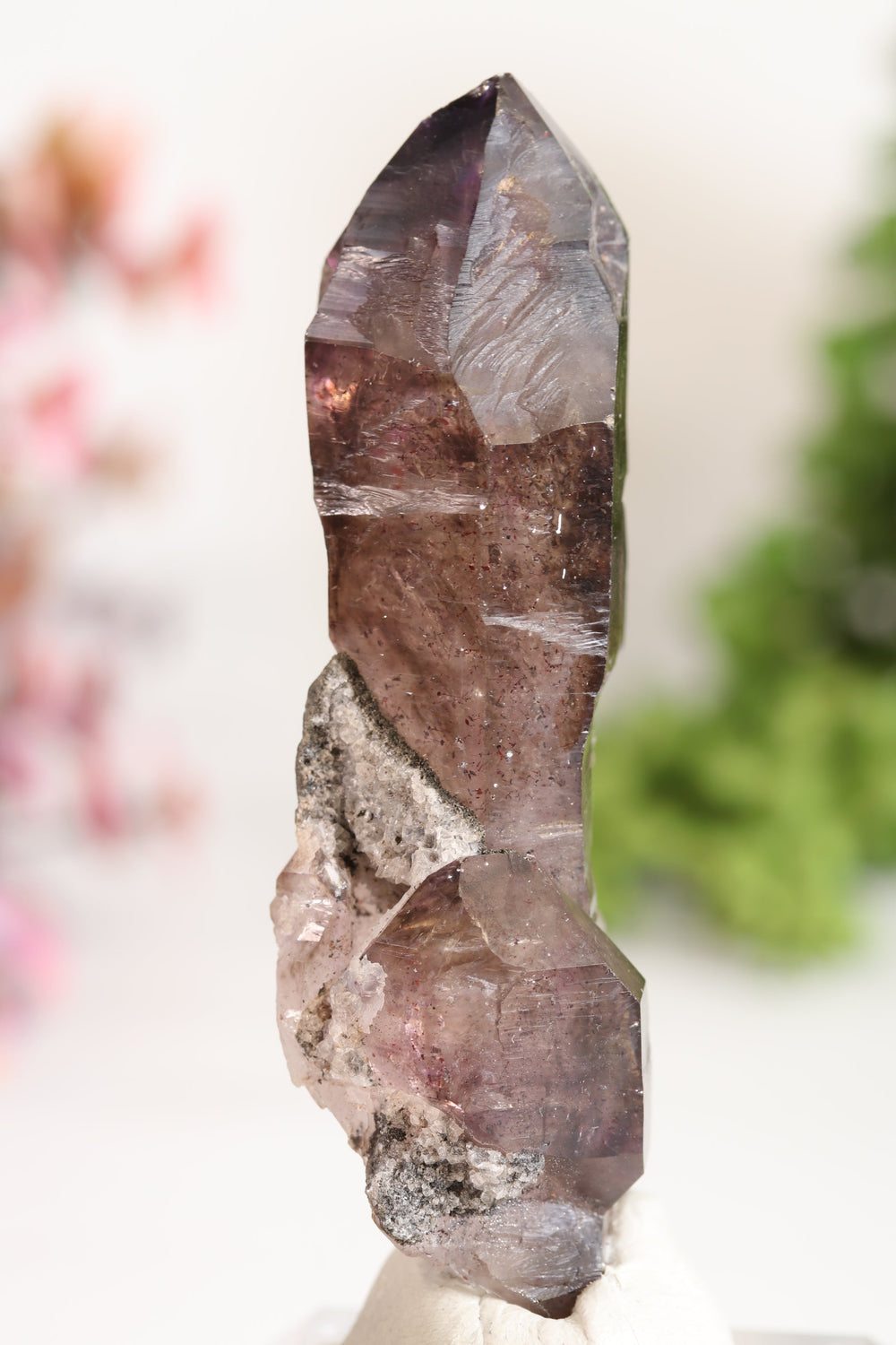 Shangaan Amethyst Sceptor TU2966