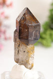 Shangaan Amethyst Sceptor with Moving Enhydro TU2968