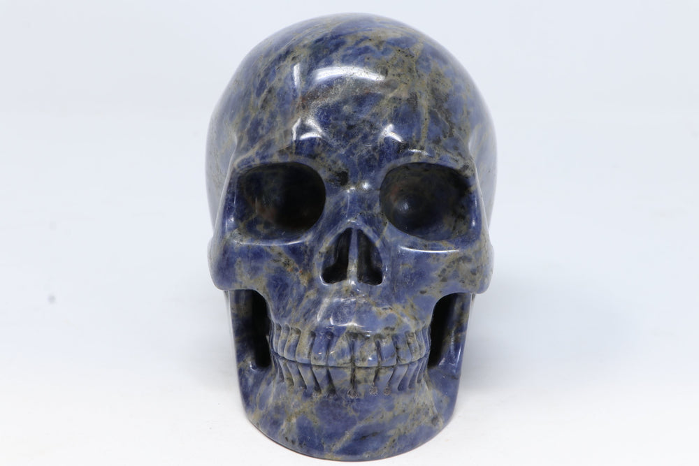 Sodalite Skull Carving TU3017