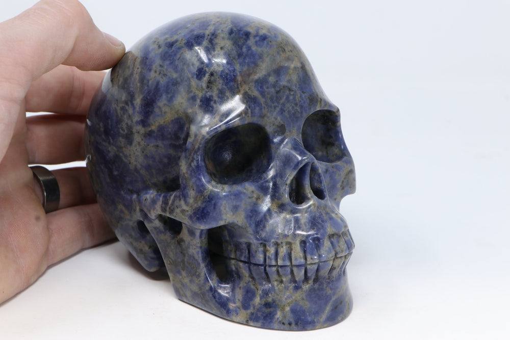 Sodalite Skull Carving TU3017