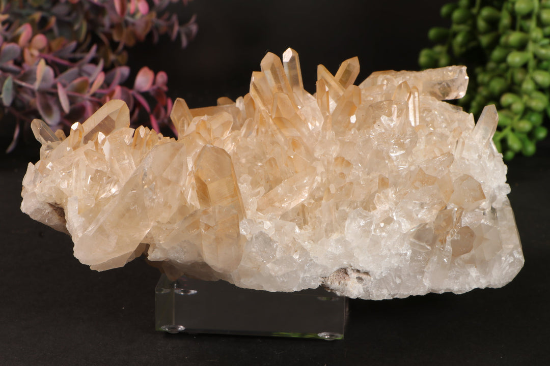 Golden Healer Quartz Cluster TU3335