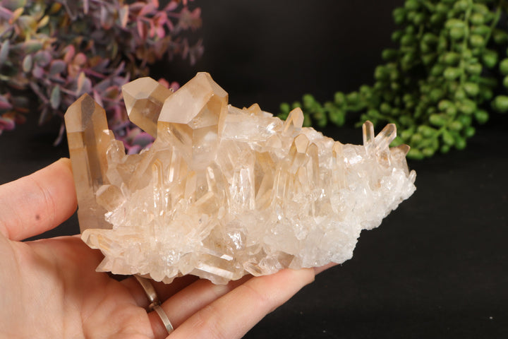 Golden Healer Quartz Cluster TU3338