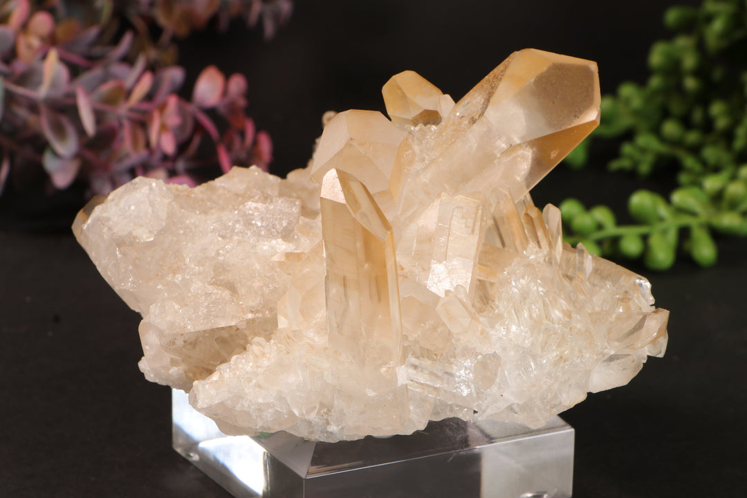 Golden Healer Quartz Cluster TU3338