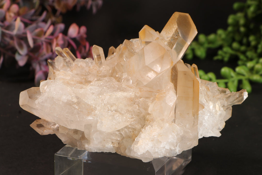 Golden Healer Quartz Cluster TU3338