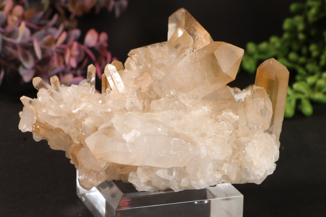 Golden Healer Quartz Cluster TU3338