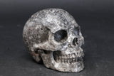 3.5" Crinoid Fossil Skull TU3376