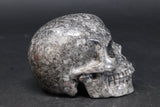 3.5" Crinoid Fossil Skull TU3376