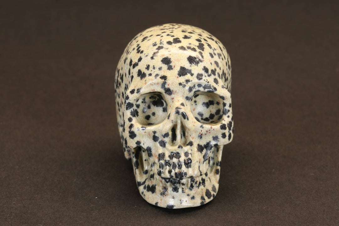 Dalmatian Jasper Skull TU355