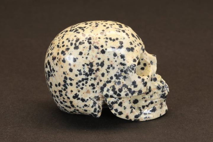 Dalmatian Jasper Skull TU355