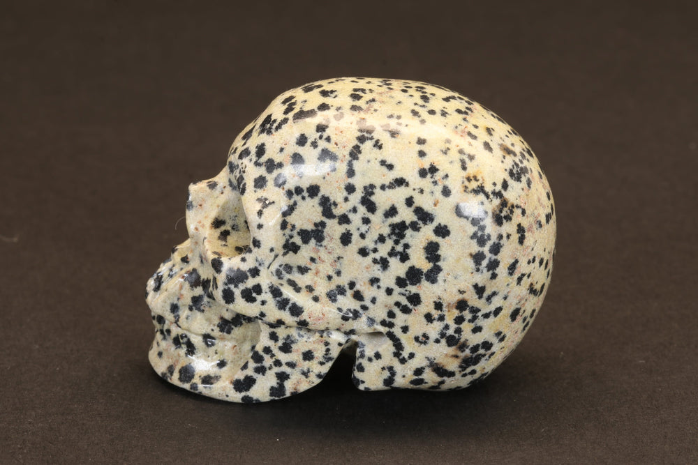 Dalmatian Jasper Skull TU355