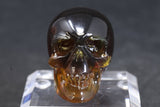 1.5" Dominican Amber Skull TU3674