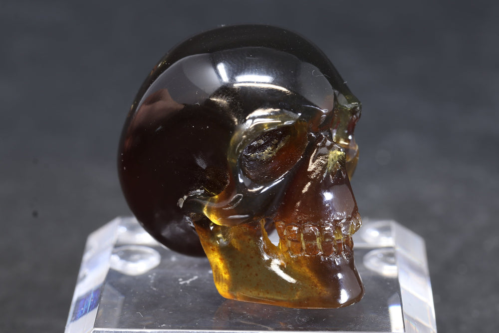 1.5" Dominican Amber Skull TU3674