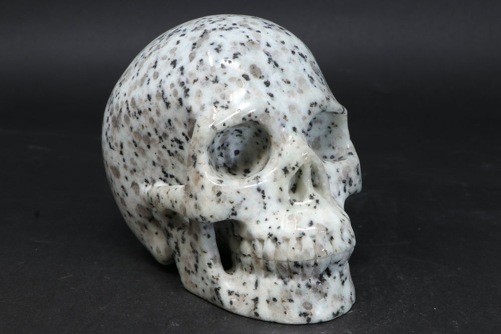 Lotus Jasper Skull TU3785