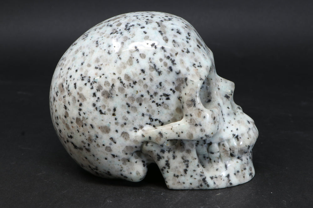 Lotus Jasper Skull TU3785