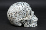 Lotus Jasper Skull TU3785