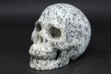 Lotus Jasper Skull TU3785