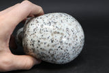 Lotus Jasper Skull TU3785