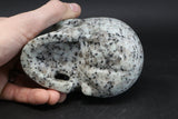 Lotus Jasper Skull TU3785