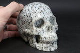 Lotus Jasper Skull TU3785